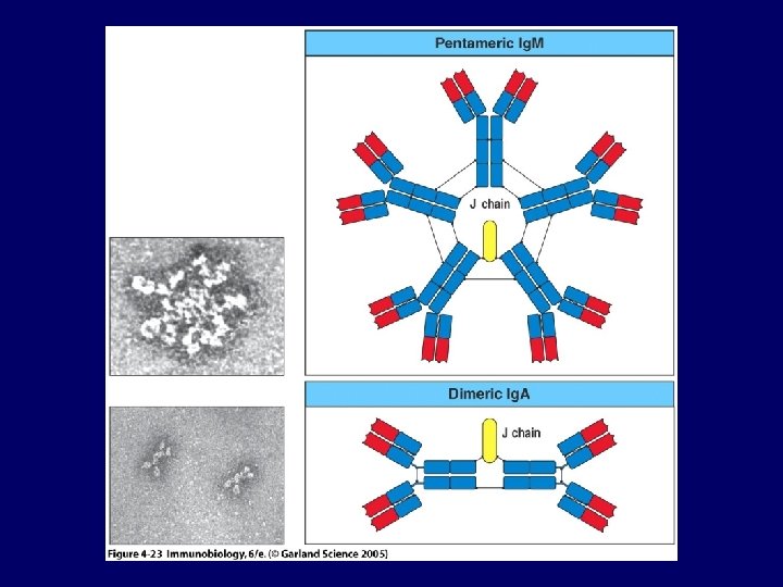 Figure 4 -23 