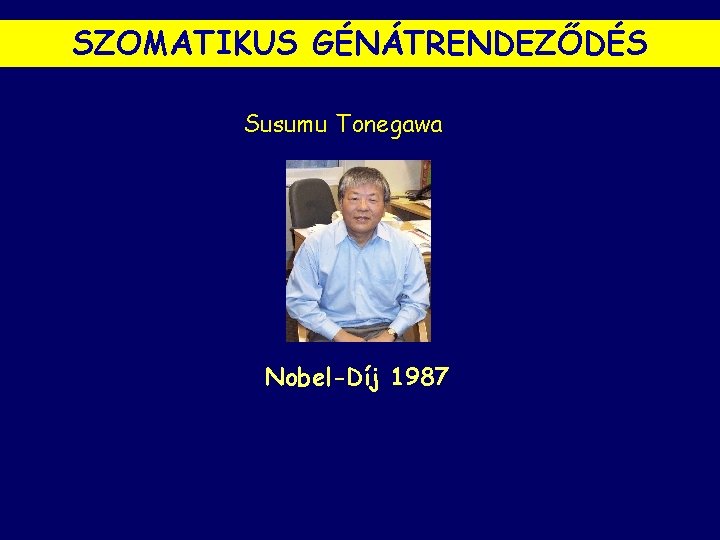 SZOMATIKUS GÉNÁTRENDEZŐDÉS Susumu Tonegawa Nobel-Díj 1987 