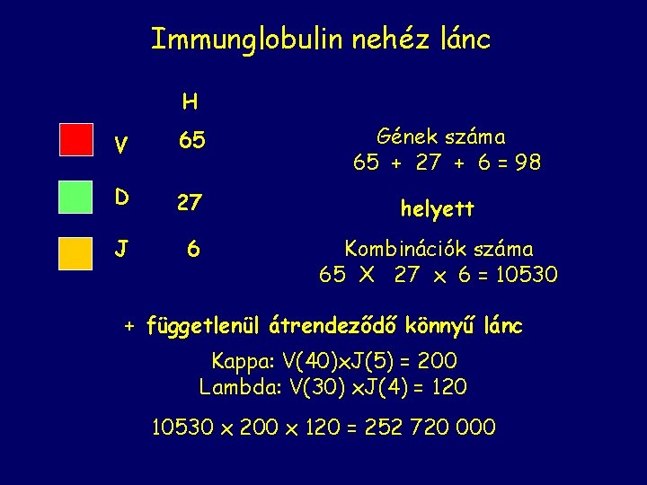 Immunglobulin nehéz lánc H Gének száma 65 + 27 + 6 = 98 V