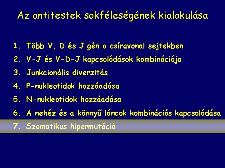 Az antitestek sokféleségének kialakulása 1. Több V, D és J gén a csíravonal sejtekben