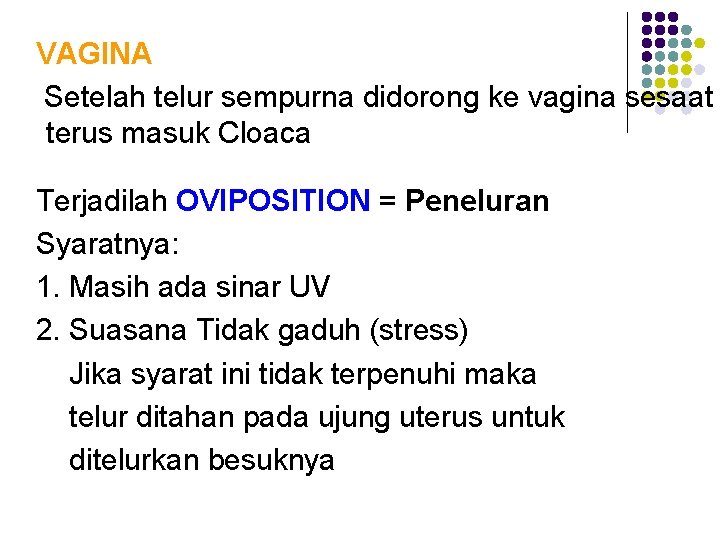 VAGINA Setelah telur sempurna didorong ke vagina sesaat terus masuk Cloaca Terjadilah OVIPOSITION =