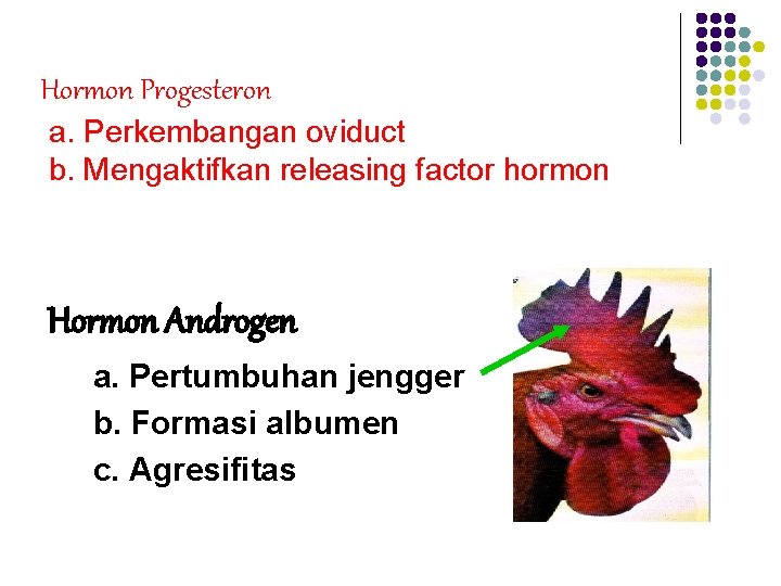 Hormon Progesteron a. Perkembangan oviduct b. Mengaktifkan releasing factor hormon Hormon Androgen a. Pertumbuhan