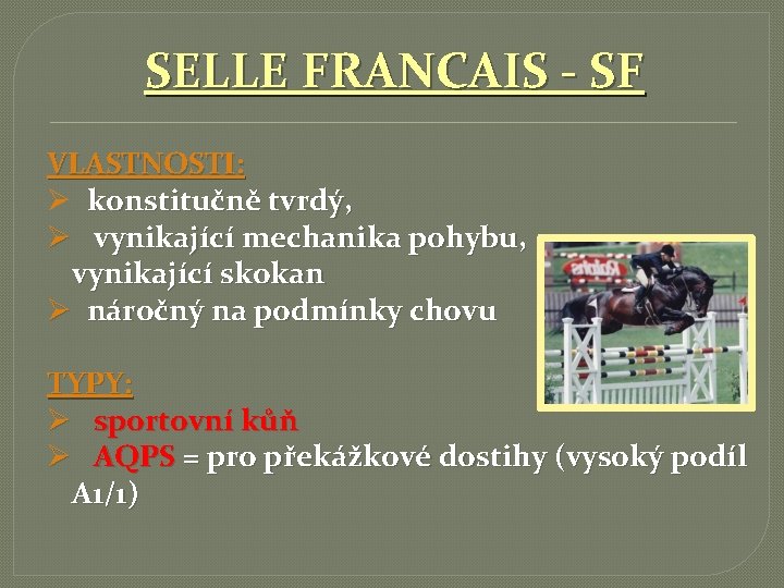 SELLE FRANCAIS - SF VLASTNOSTI: Ø konstitučně tvrdý, Ø vynikající mechanika pohybu, vynikající skokan