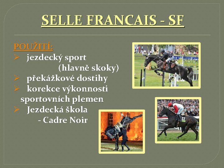 SELLE FRANCAIS - SF POUŽITÍ: Ø jezdecký sport (hlavně skoky) Ø překážkové dostihy Ø