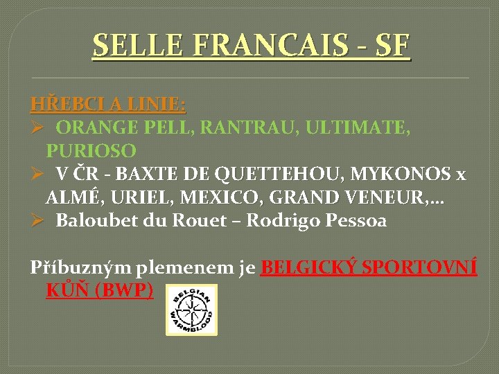 SELLE FRANCAIS - SF HŘEBCI A LINIE: Ø ORANGE PELL, RANTRAU, ULTIMATE, PURIOSO Ø