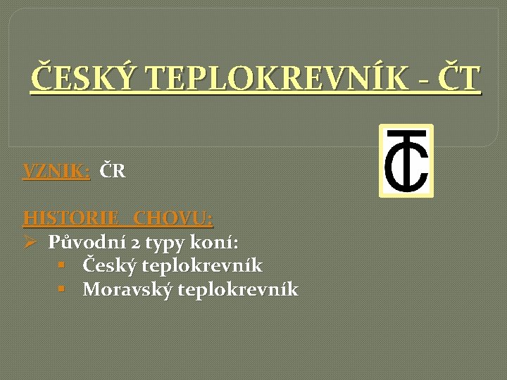 ČESKÝ TEPLOKREVNÍK - ČT VZNIK: ČR HISTORIE CHOVU: Ø Původní 2 typy koní: §