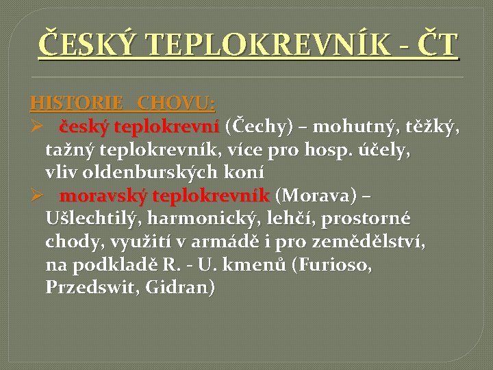 ČESKÝ TEPLOKREVNÍK - ČT HISTORIE CHOVU: Ø český teplokrevní (Čechy) – mohutný, těžký, tažný