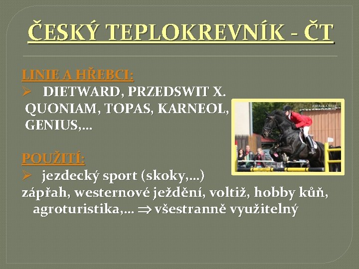 ČESKÝ TEPLOKREVNÍK - ČT LINIE A HŘEBCI: Ø DIETWARD, PRZEDSWIT X. QUONIAM, TOPAS, KARNEOL,