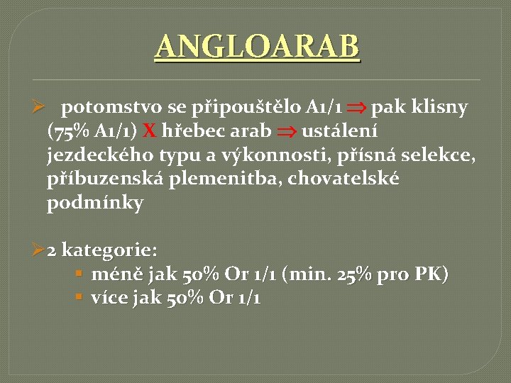 ANGLOARAB Ø potomstvo se připouštělo A 1/1 pak klisny (75% A 1/1) X hřebec