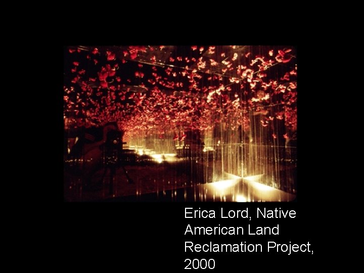 Erica Lord, Native American Land Reclamation Project, 2000 