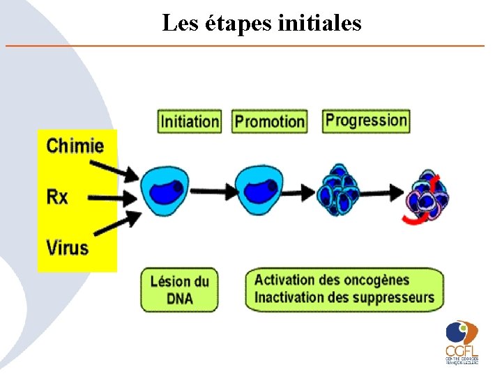 Les étapes initiales 