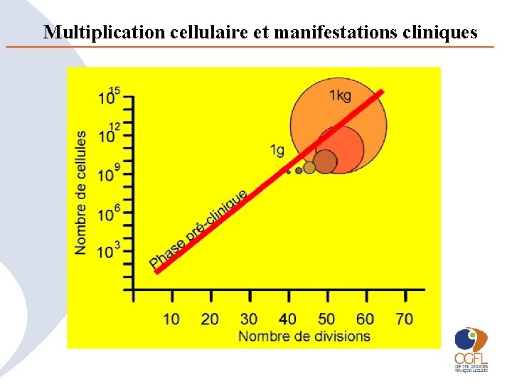 Multiplication cellulaire et manifestations cliniques 