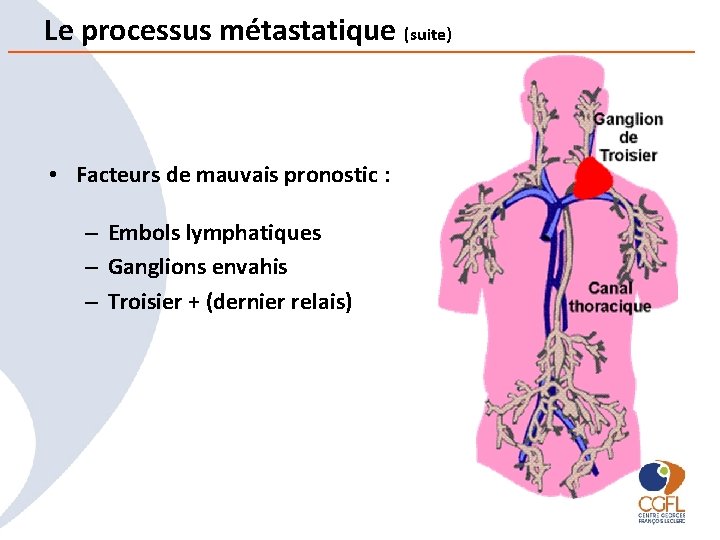 Le processus métastatique (suite) • Facteurs de mauvais pronostic : – Embols lymphatiques –