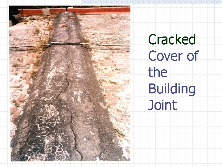 Cracked Cover of the Building Joint 