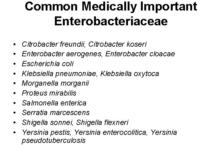 Common Medically Important Enterobacteriaceae • • • Citrobacter freundii, Citrobacter koseri Enterobacter aerogenes, Enterobacter Common Medically Important Enterobacteriaceae • • • Citrobacter freundii, Citrobacter koseri Enterobacter aerogenes, Enterobacter