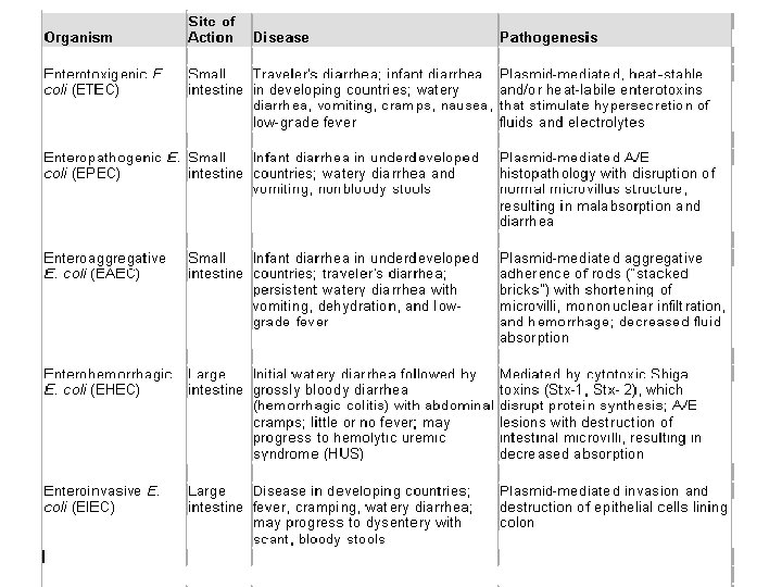 Organism Site of Action Disease Pathogenesis Organism Site of Action Disease Pathogenesis