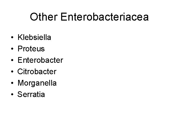 Other Enterobacteriacea • • • Klebsiella Proteus Enterobacter Citrobacter Morganella Serratia Other Enterobacteriacea • • • Klebsiella Proteus Enterobacter Citrobacter Morganella Serratia