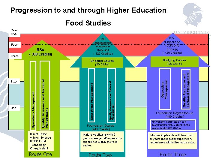 Progression to and through Higher Education Food Studies Year Five Three BSc ( 360