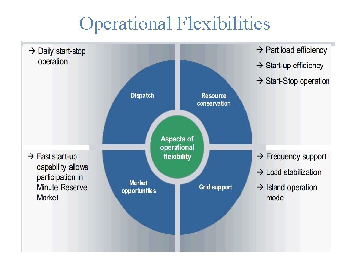 Operational Flexibilities 