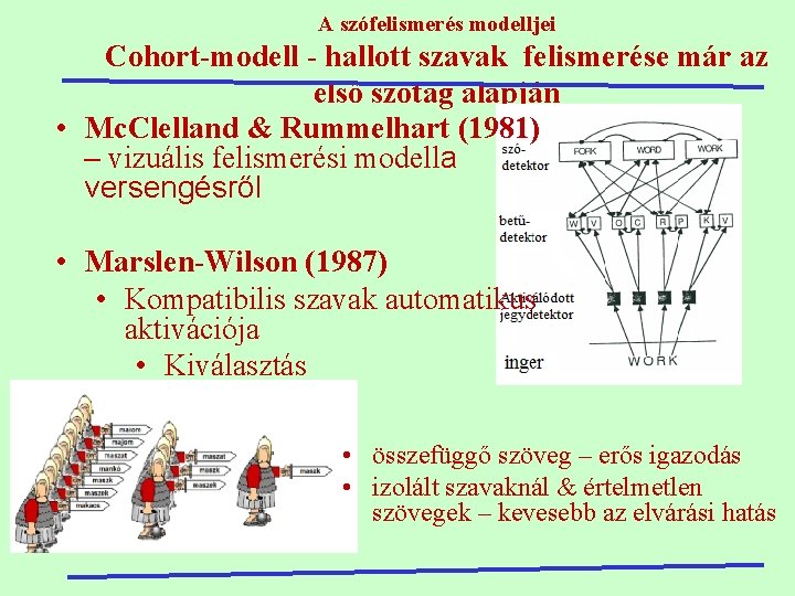 A szófelismerés modelljei Cohort-modell - hallott szavak felismerése már az első szótag alapján •