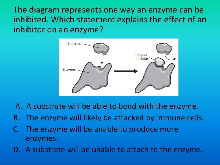 The diagram represents one way an enzyme can be inhibited. Which statement explains the