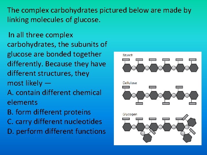 The complex carbohydrates pictured below are made by linking molecules of glucose. In all