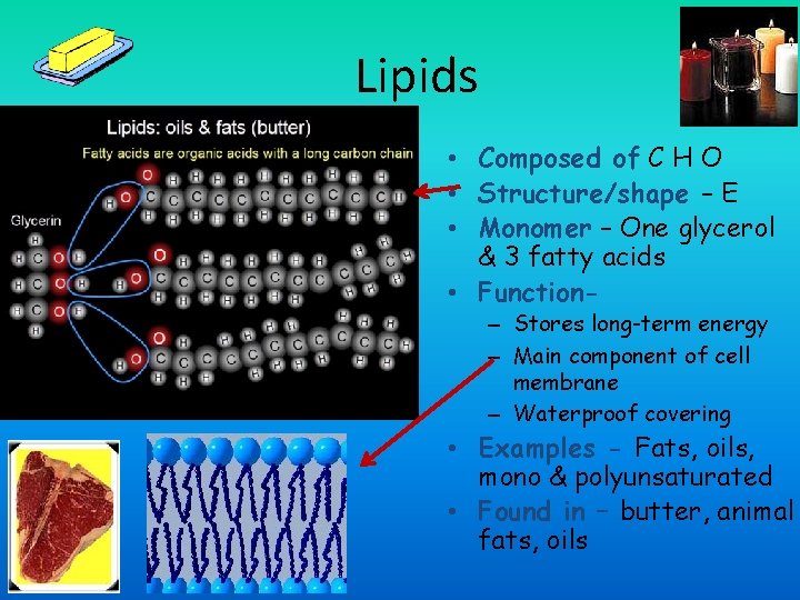Lipids • Composed of C H O • Structure/shape – E • Monomer –