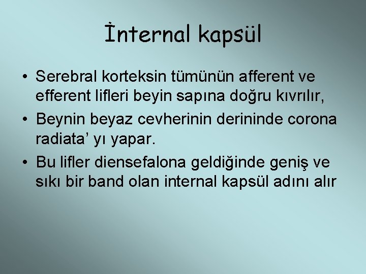 İnternal kapsül • Serebral korteksin tümünün afferent ve efferent lifleri beyin sapına doğru kıvrılır,