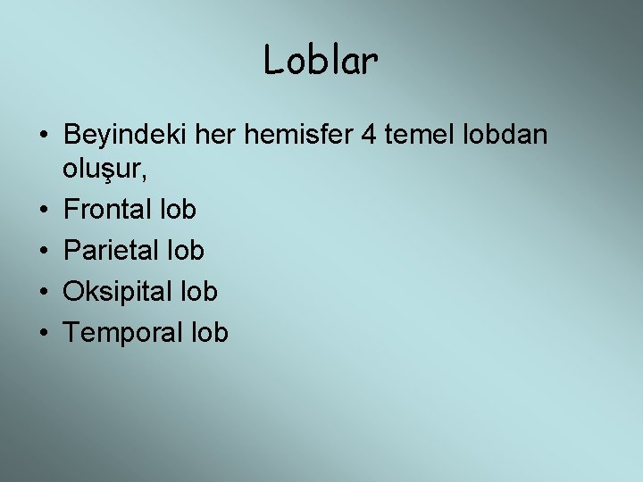 Loblar • Beyindeki her hemisfer 4 temel lobdan oluşur, • Frontal lob • Parietal