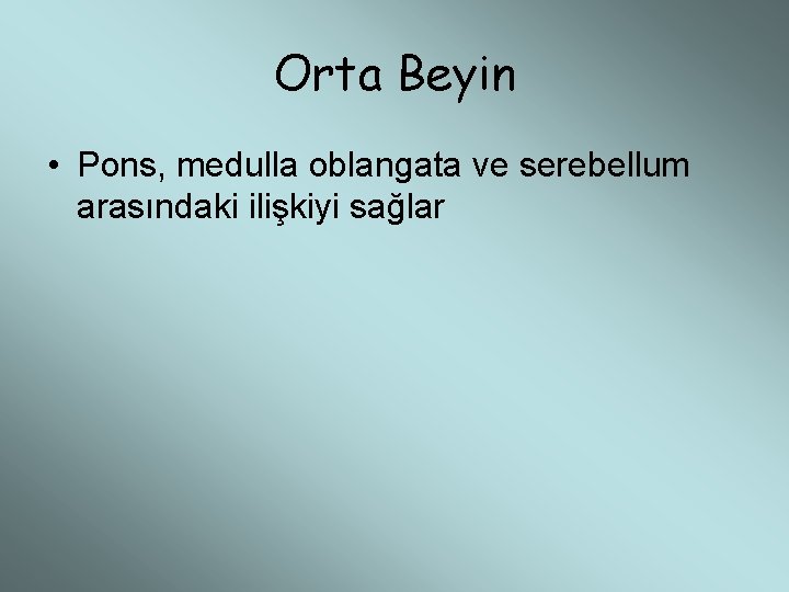 Orta Beyin • Pons, medulla oblangata ve serebellum arasındaki ilişkiyi sağlar 