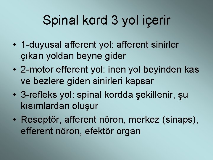 Spinal kord 3 yol içerir • 1 -duyusal afferent yol: afferent sinirler çıkan yoldan