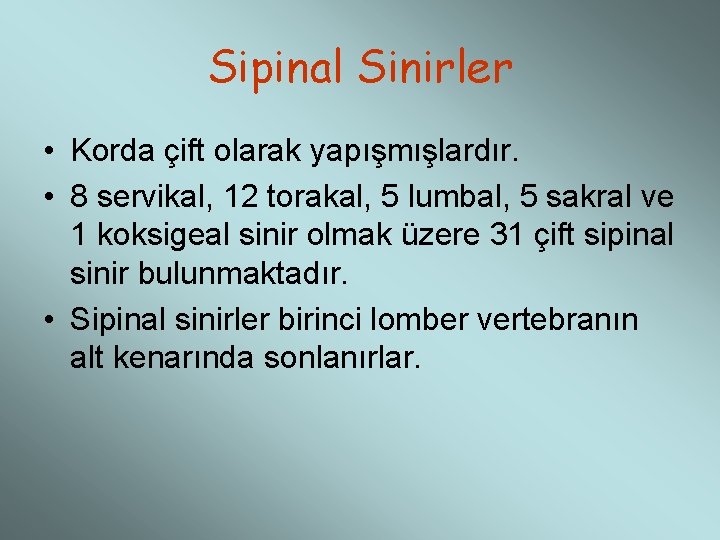 Sipinal Sinirler • Korda çift olarak yapışmışlardır. • 8 servikal, 12 torakal, 5 lumbal,