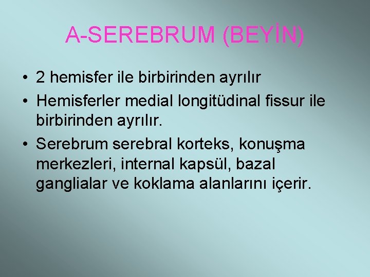 A-SEREBRUM (BEYİN) • 2 hemisfer ile birbirinden ayrılır • Hemisferler medial longitüdinal fissur ile