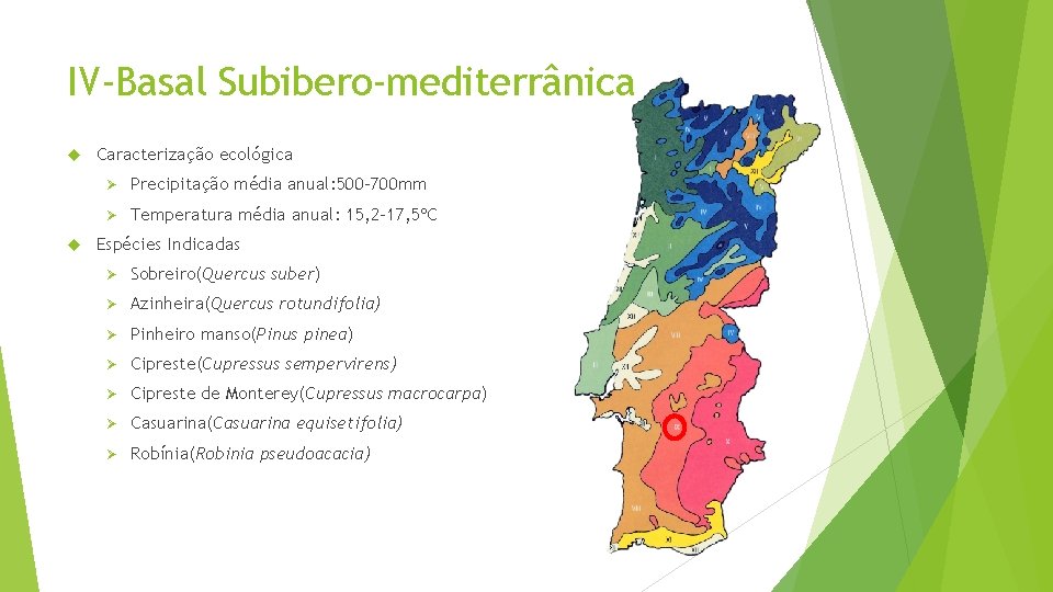 IV-Basal Subibero-mediterrânica Caracterização ecológica Ø Precipitação média anual: 500 -700 mm Ø Temperatura média