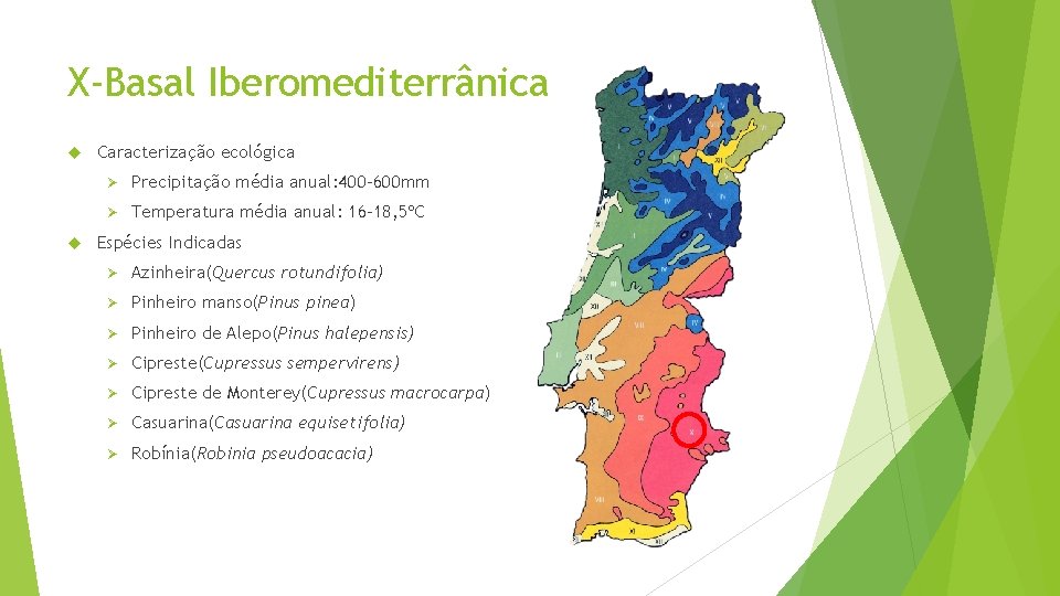 X-Basal Iberomediterrânica Caracterização ecológica Ø Precipitação média anual: 400 -600 mm Ø Temperatura média