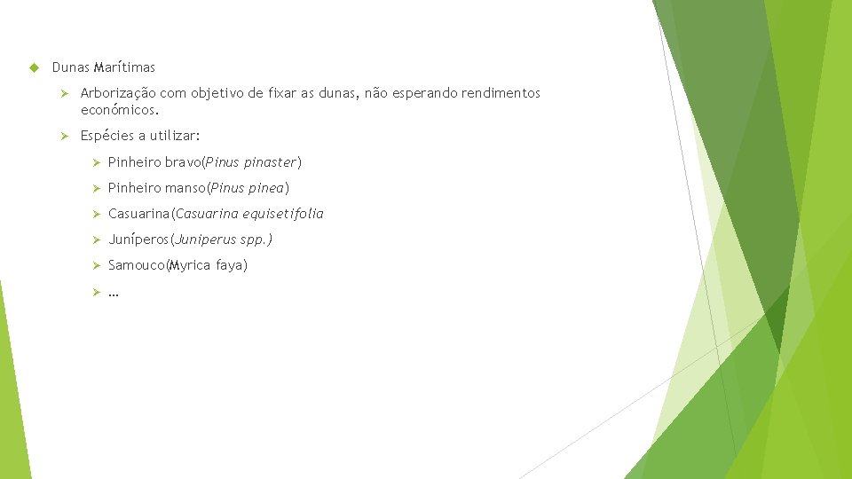  Dunas Marítimas Ø Arborização com objetivo de fixar as dunas, não esperando rendimentos