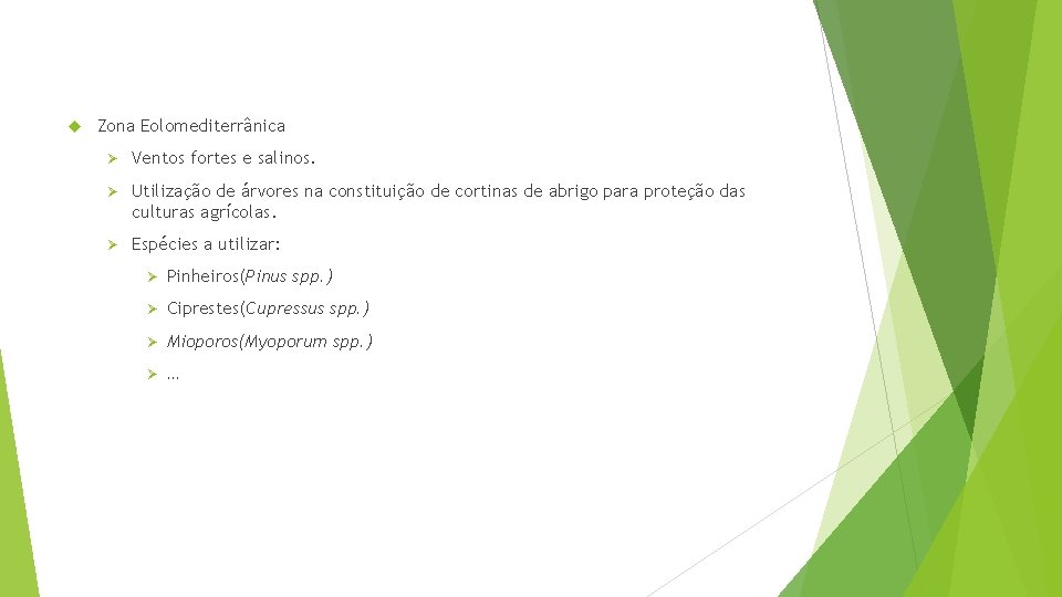  Zona Eolomediterrânica Ø Ventos fortes e salinos. Ø Utilização de árvores na constituição