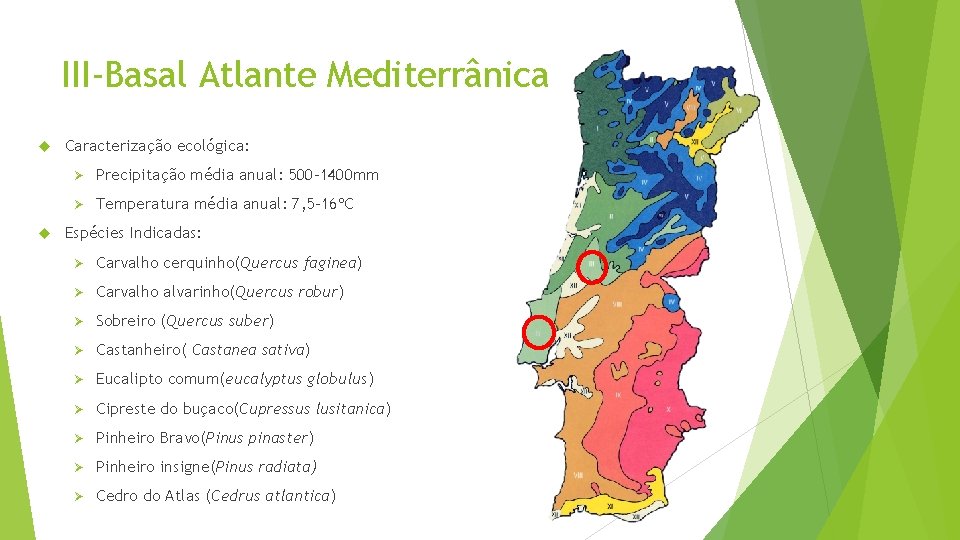 III-Basal Atlante Mediterrânica Caracterização ecológica: Ø Precipitação média anual: 500 -1400 mm Ø Temperatura