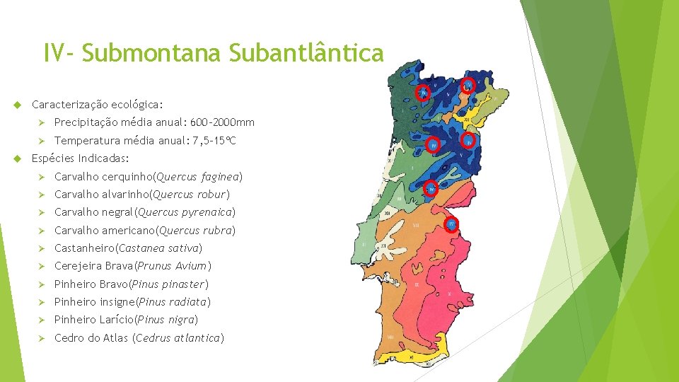 IV- Submontana Subantlântica Caracterização ecológica: Ø Precipitação média anual: 600 -2000 mm Ø Temperatura