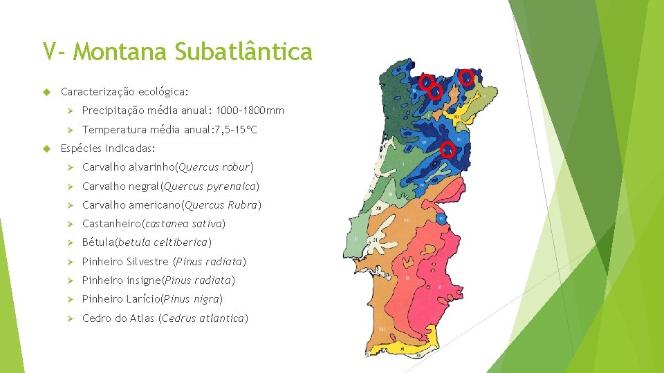 V- Montana Subatlântica Caracterização ecológica: Ø Precipitação média anual: 1000 -1800 mm Ø Temperatura