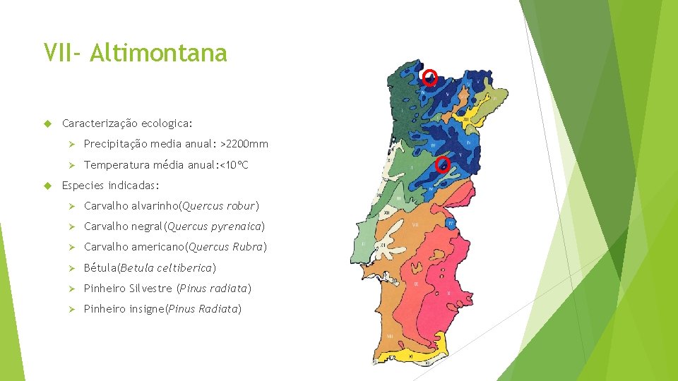 VII- Altimontana Caracterização ecologica: Ø Precipitação media anual: >2200 mm Ø Temperatura média anual: