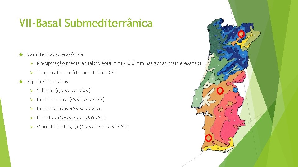 VII-Basal Submediterrânica Caracterização ecológica Ø Precipitação média anual: 550 -900 mm(>1000 mm nas zonas