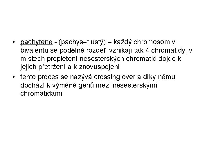  • pachytene - (pachys=tlustý) – každý chromosom v bivalentu se podélně rozdělí vznikají