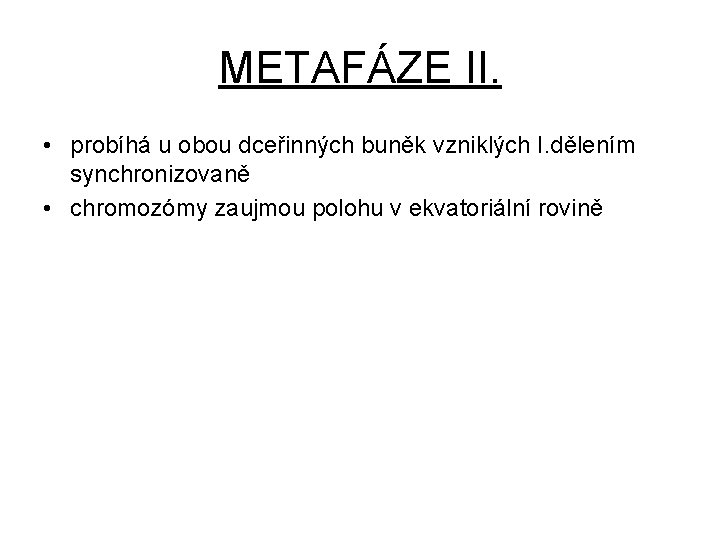 METAFÁZE II. • probíhá u obou dceřinných buněk vzniklých I. dělením synchronizovaně • chromozómy