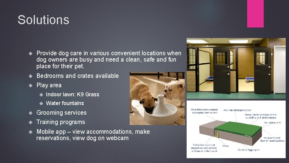 Solutions Provide dog care in various convenient locations when dog owners are busy and