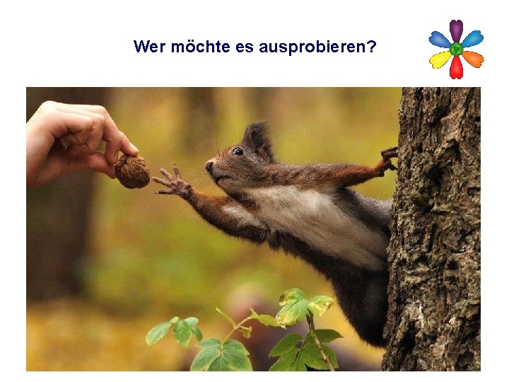 Wer möchte es ausprobieren? 