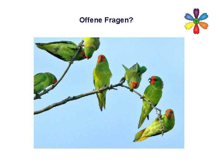 Offene Fragen? 