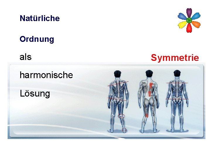 Natürliche Ordnung als harmonische Lösung Symmetrie 