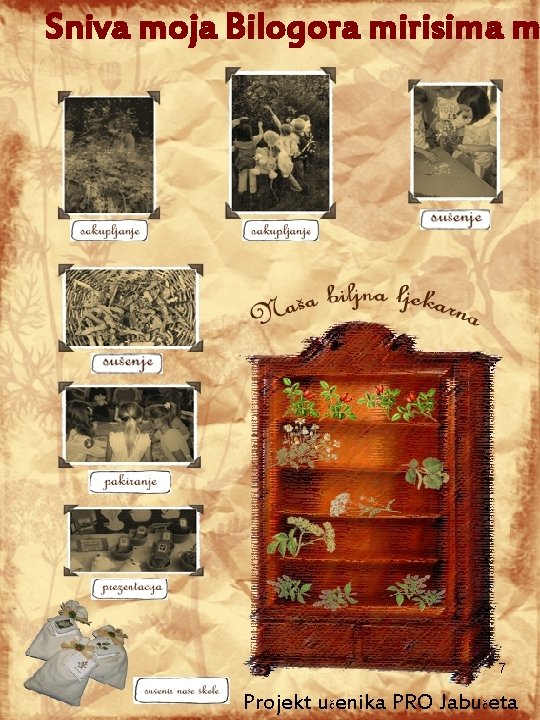 Sniva moja Bilogora mirisima m 7 Projekt učenika PRO Jabučeta 