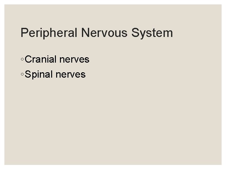 Peripheral Nervous System ◦ Cranial nerves ◦ Spinal nerves Peripheral Nervous System ◦ Cranial nerves ◦ Spinal nerves